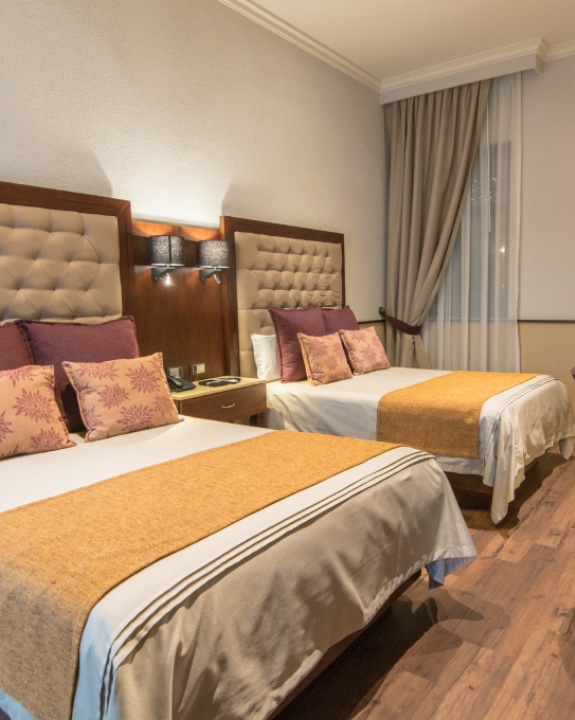 Double Suite Hotel Morales - Double Suite