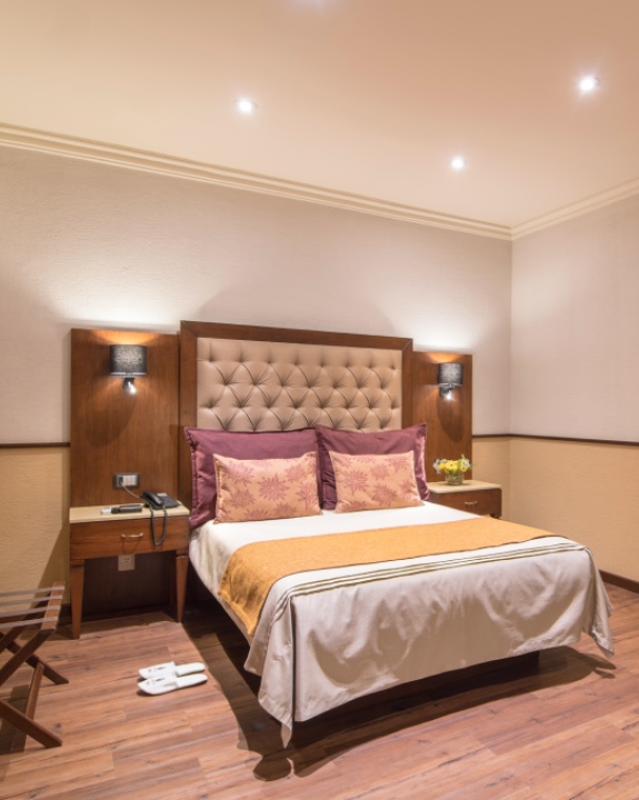 Suite Hotel Morales - Suite