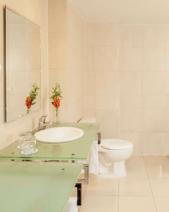 Bathroom NH Puebla -Standard Room Bathroom
